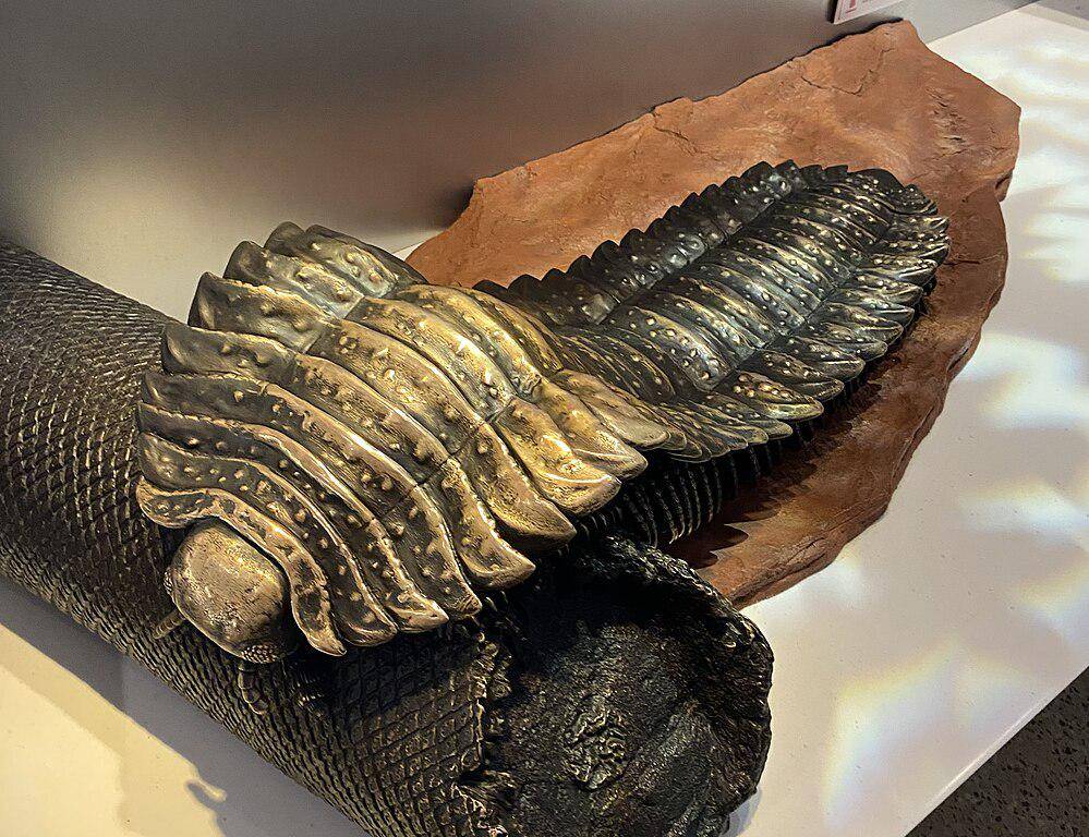Restorasi arthropleura (commons.wikimedia.org/Ryan Schwark)